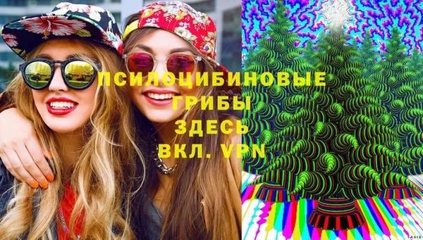 PSILOCYBIN Снежногорск