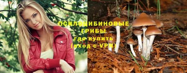Альфа ПВП Слюдянка