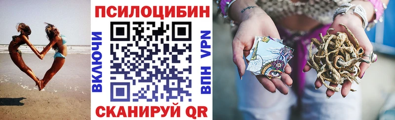 где продают   Донской  Псилоцибиновые грибы GOLDEN TEACHER 